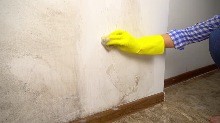 Best Dehumidification Services  in Tara Hills, CA