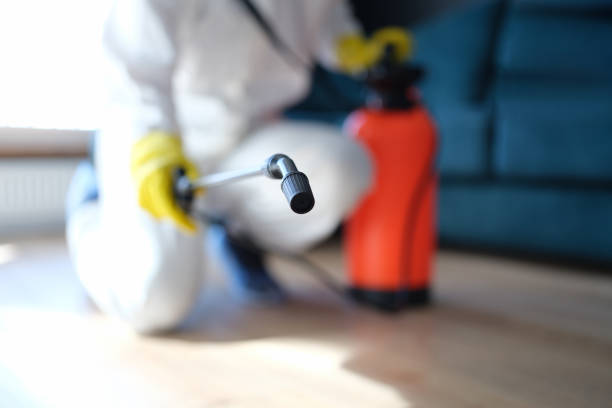 Best Mold Removal for HVAC Installations  in Tara Hills, CA