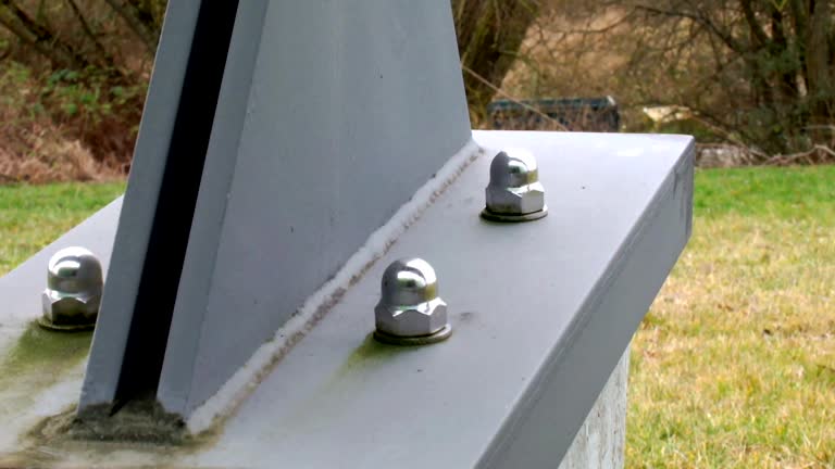 Environmental Consulting for Mold Prevention in Tara Hills, CA
